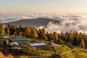 Detaillierte Infos zur Unterkunft Mountain Resort Feuerberg