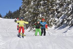 Detaillierte Infos zur Unterkunft Mühl-Fun-Viertel Grenzlandcamp Klaffer