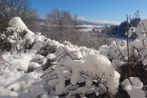 Detaillierte Infos zur Unterkunft Mühl-Fun-Viertel Grenzlandcamp Klaffer