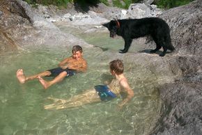 Detaillierte Infos zur Unterkunft Mussbachhof