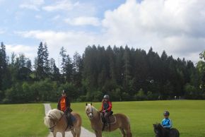 Detaillierte Infos zur Unterkunft Mussbachhof