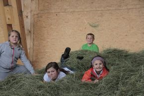 Detaillierte Infos zur Unterkunft Mussbachhof