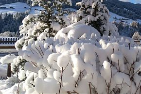 Detaillierte Infos zur Unterkunft Der Alpbacherhof Natur & Spa Resort