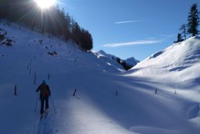 Detaillierte Infos zur Unterkunft Der Alpbacherhof Natur & Spa Resort