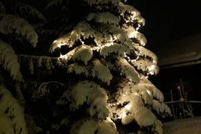 Detaillierte Infos zur Unterkunft Ötzmooshof