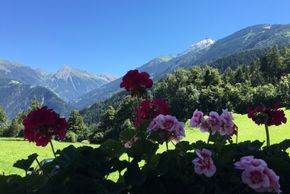 Detaillierte Infos zur Unterkunft Olympia-Relax-Hotel Leonhard Stock