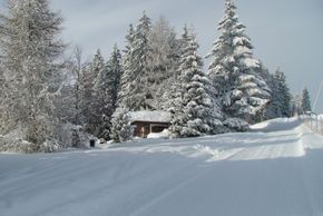 Rodelbahn bei der Hütte