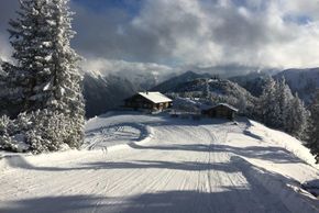 Detaillierte Infos zur Unterkunft Abelhof Appartements an der Skipiste in Rohrmoos
