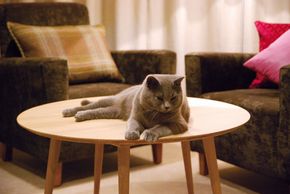 Wohnschlafzimmer im Familienappartement