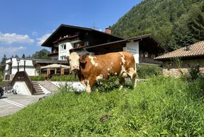 Pension in Natur
