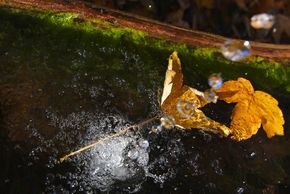 Herbst am Brandstätterhof