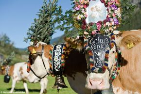 Detaillierte Infos zur Unterkunft Hotel Garni Nill