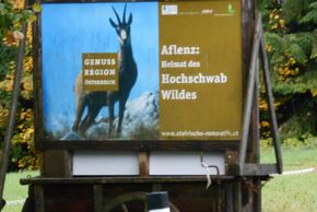 Detaillierte Infos zur Unterkunft Pension Gierlinger