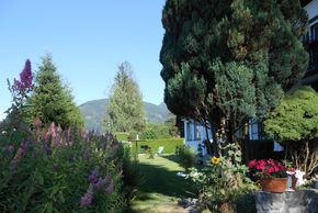 Detaillierte Infos zur Unterkunft Pension Gierlinger