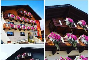 Unser Blumenpracht im Sommer