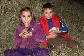 Detaillierte Infos zur Unterkunft Biobauernhof Poidlbauer