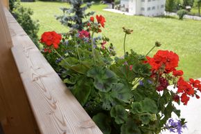 Detaillierte Infos zur Unterkunft Residence Corn