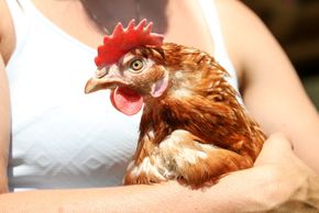 Detaillierte Infos zur Unterkunft Riederhäusl