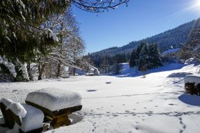 Blick vom Haus Gerda