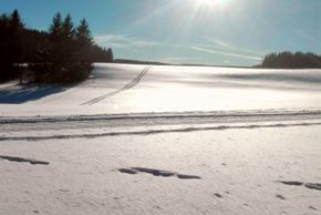 Detaillierte Infos zur Unterkunft Schweizermichelhof