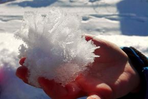 Detaillierte Infos zur Unterkunft Schweizermichelhof