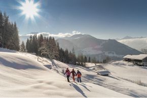 Detaillierte Infos zur Unterkunft Sport- und Wellnesshotel Held