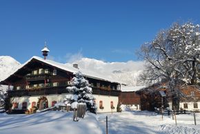 Detaillierte Infos zur Unterkunft Appartement Baby & Kinderbauernhof Stefflhof