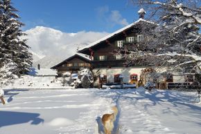 Detaillierte Infos zur Unterkunft Appartement Baby & Kinderbauernhof Stefflhof