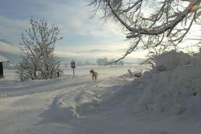 Detaillierte Infos zur Unterkunft Appartement Baby & Kinderbauernhof Stefflhof