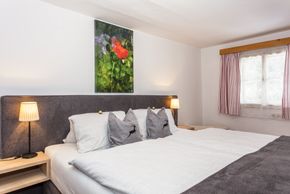 Detaillierte Infos zur Unterkunft Appartement Baby & Kinderbauernhof Stefflhof