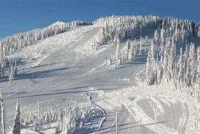 Information about the ski resort Mt Spokane Ski Area