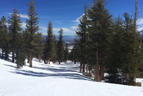 One of the most beautiful and easy runs: Quicksilver and Pumpkin at Cloud 9 Express.