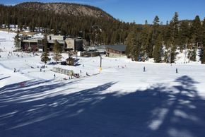 View of the beginners area at Festival Poma Lift near Canyon Lodge.