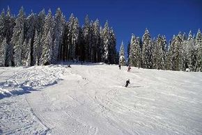 Information about the ski resort Mezivodi Ski Areal