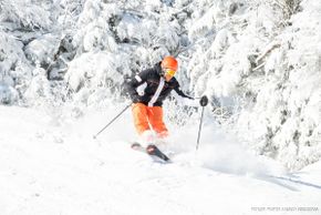 Information about the ski resort Mont Orford