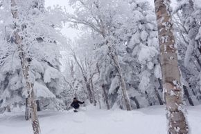 Information about the ski resort Mont Sutton