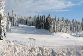 Information about the ski resort Mount Pakenham