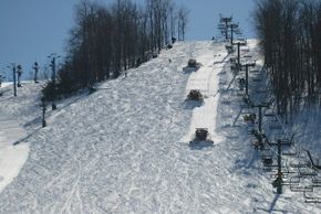 Information about the ski resort Nubs Nob Ski Area