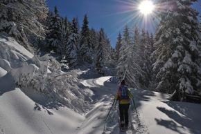 Snowshoe hiking in Nassfeld-Pressegger See