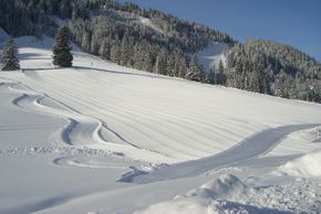 Information about the ski resort Nesselwängle
