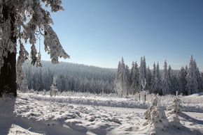 Information about the ski resort Oberhof am Rennsteig
