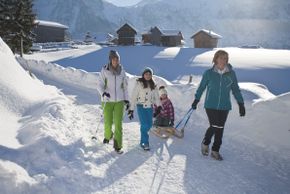 Information about the ski resort Abtenau in Lammertal valley