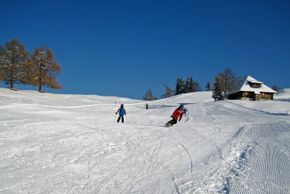 Information about the ski resort Aeschi