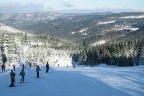 Information about the ski resort Aichelberglifte