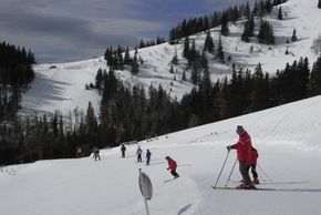 Information about the ski resort Alp Brunnalm - Hohe Veitsch