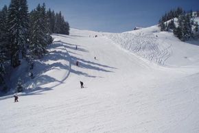 Information about the ski resort Alpenarena Hochhäderich