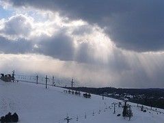 Information about the ski resort Alpine Valley Ski Area