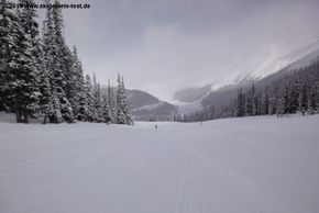 The very easy (green) trail Wrangler.