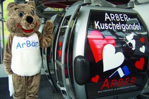 Information about the ski resort Arber