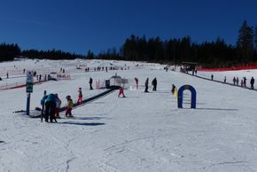 Information about the ski resort Arber